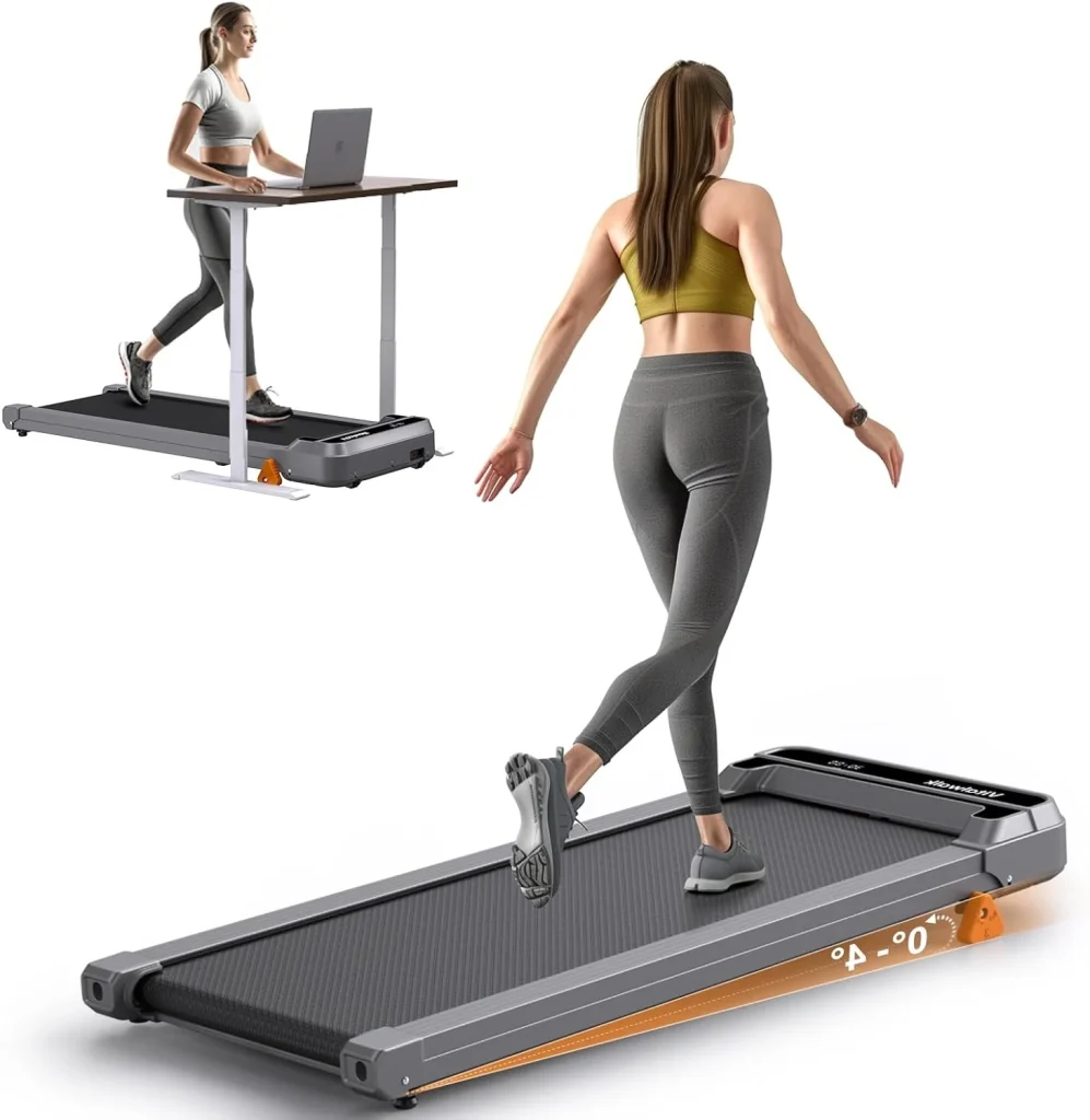 Commercial Pizza Oven